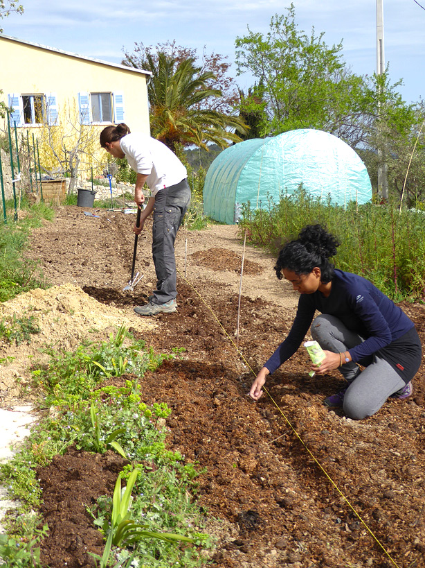 JardinBio 01